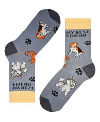 Моят Най-Добър Приятел - Кучета и Лапи 