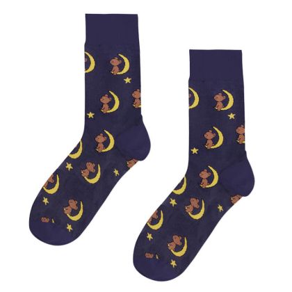 Dreamer socks - Bear on the Moon