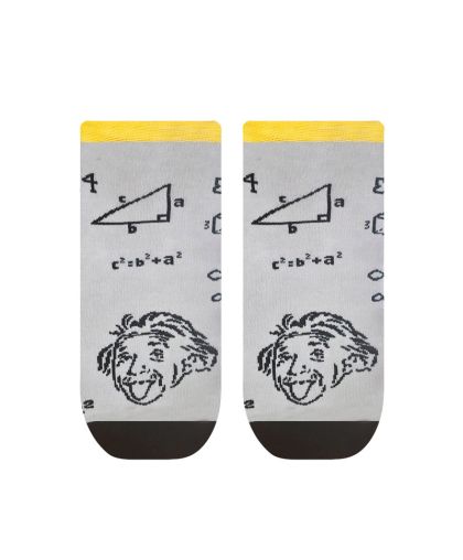 Терлици АЙНЩАЙН И ТРУДНИТЕ ЗАДАЧИ