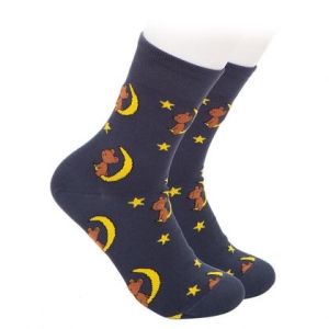Children socks bear on the Moon