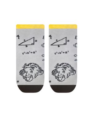 Терлици АЙНЩАЙН И ТРУДНИТЕ ЗАДАЧИ